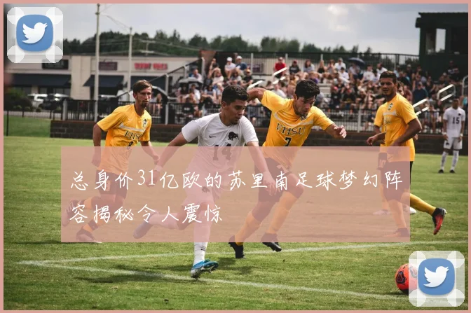 总身价31亿欧的苏里南足球梦幻阵容揭秘令人震惊